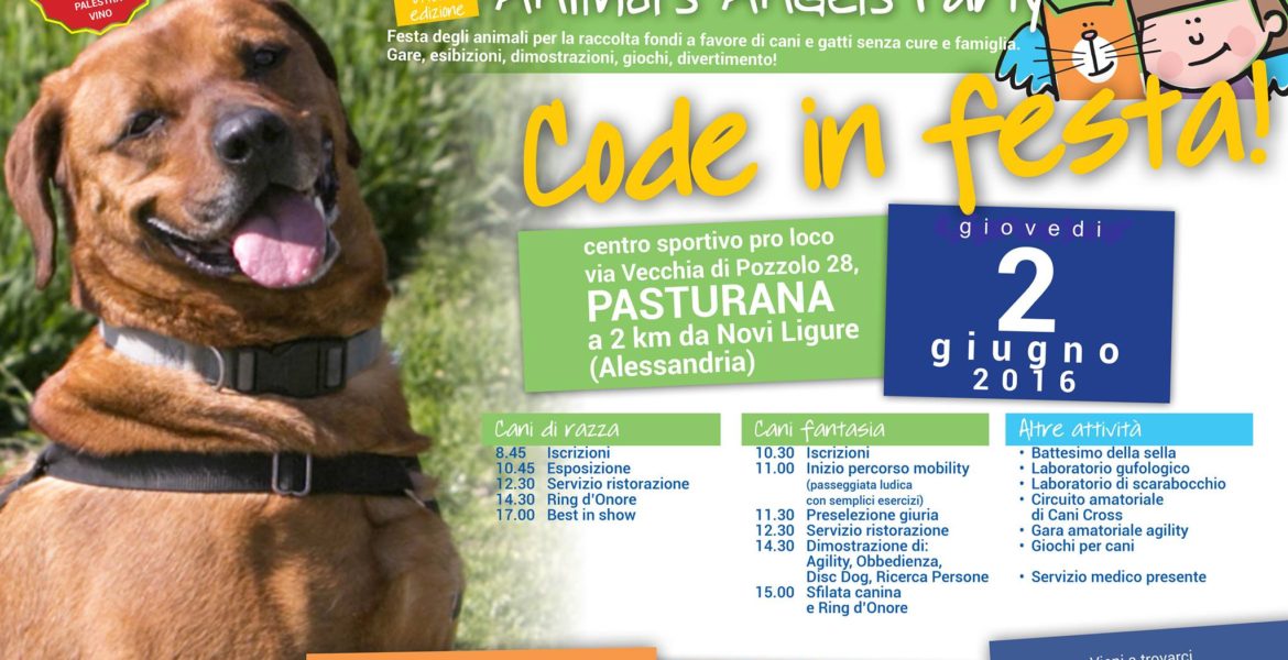 Esposizione Canina
