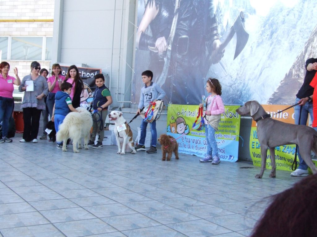 Come operiamo