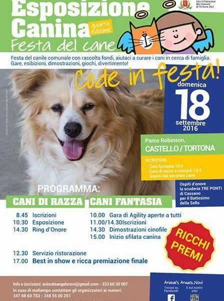Code in festa al Castello di Tortona