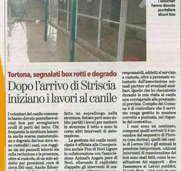 A volte l’impegno infastidisce