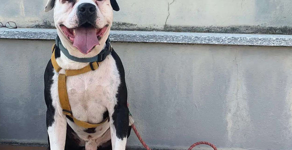 Tyson