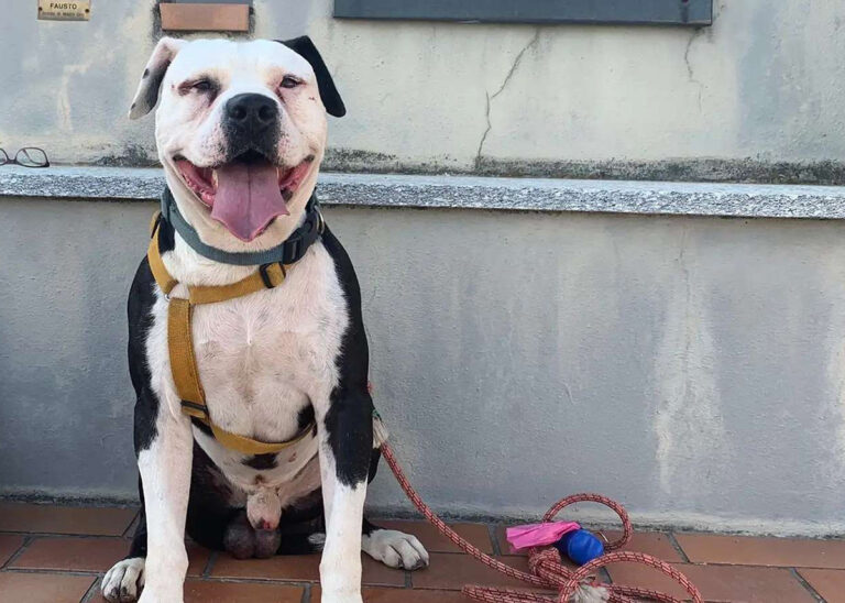 Tyson