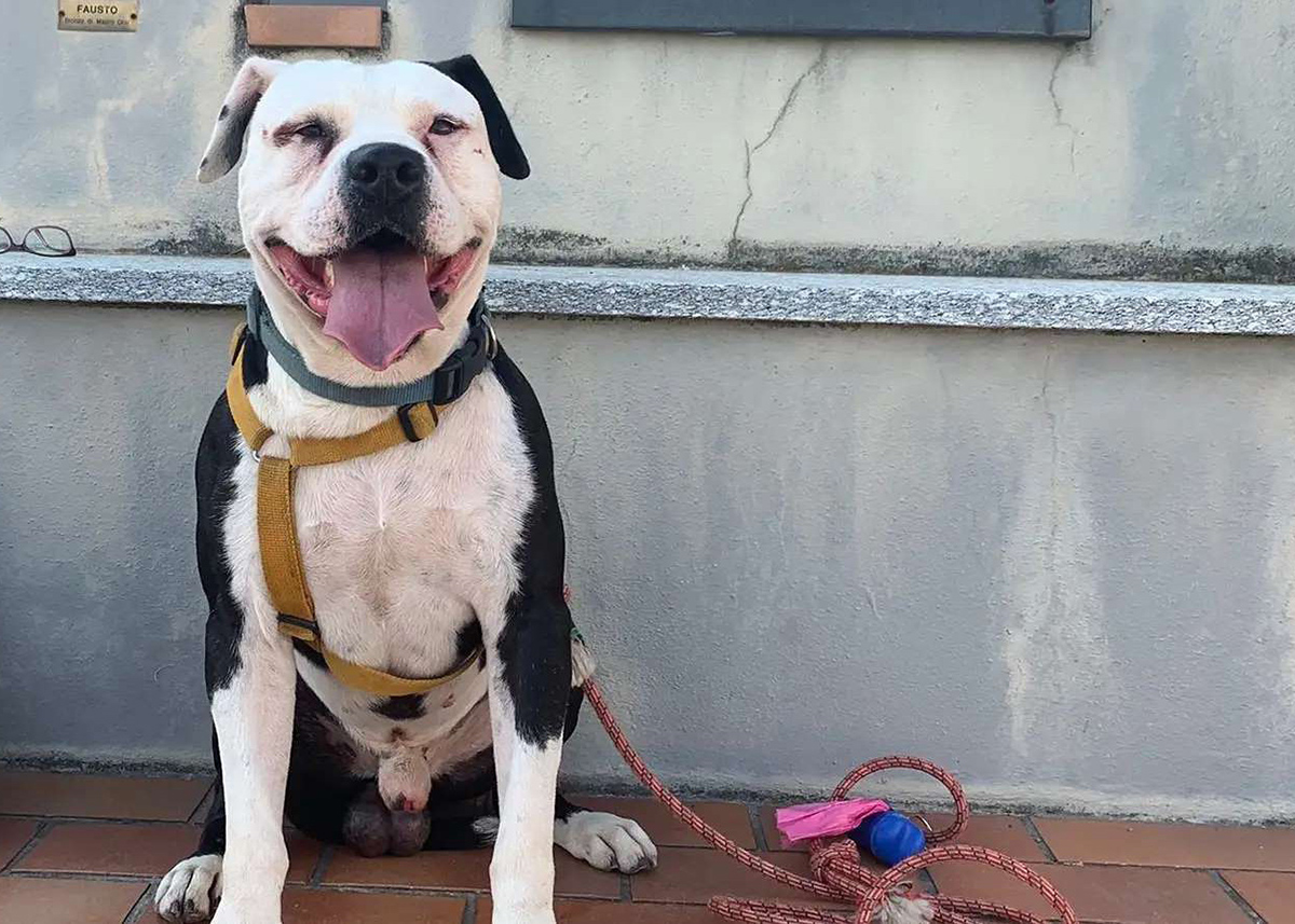 Tyson