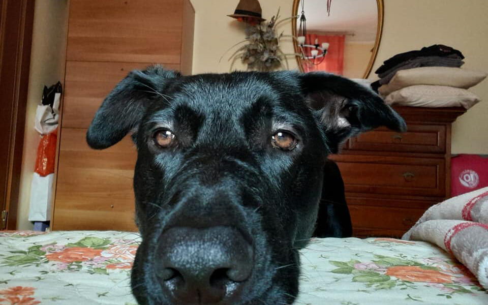 Fred