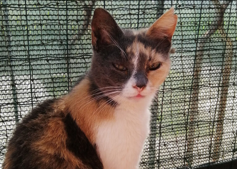 Betty
