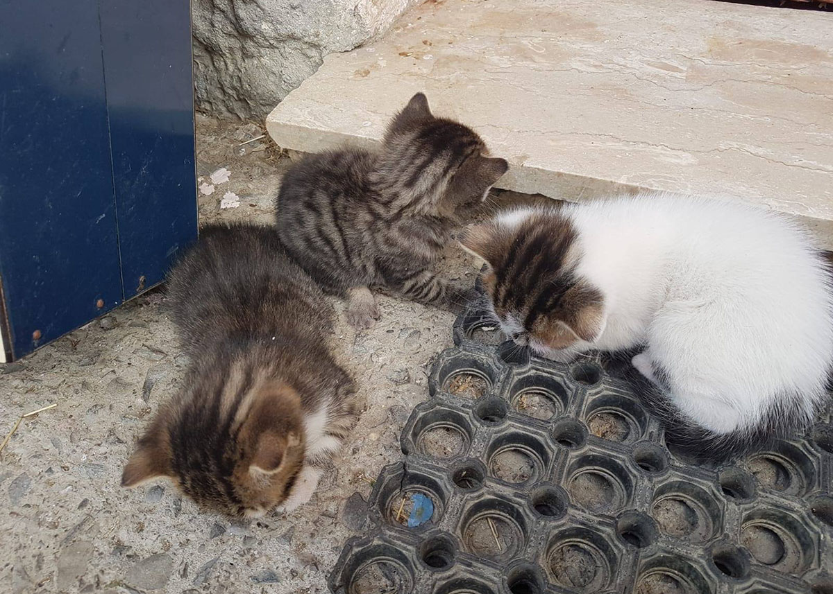 Minù, Malù, Pelù