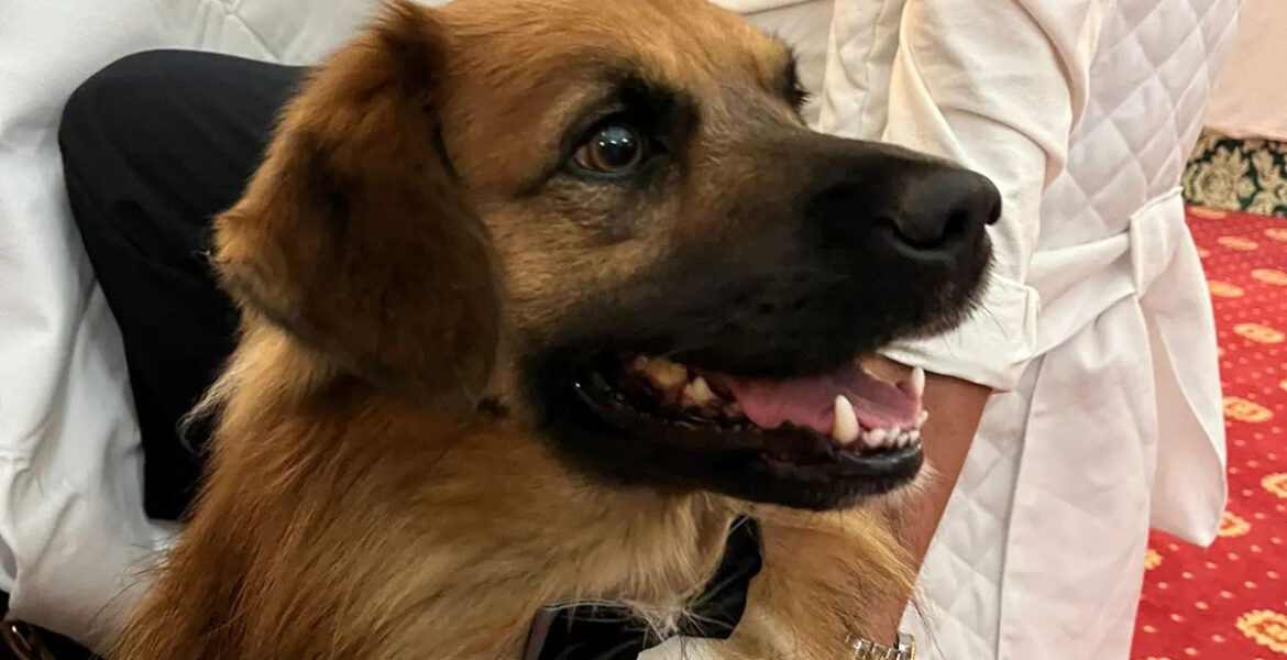 Max