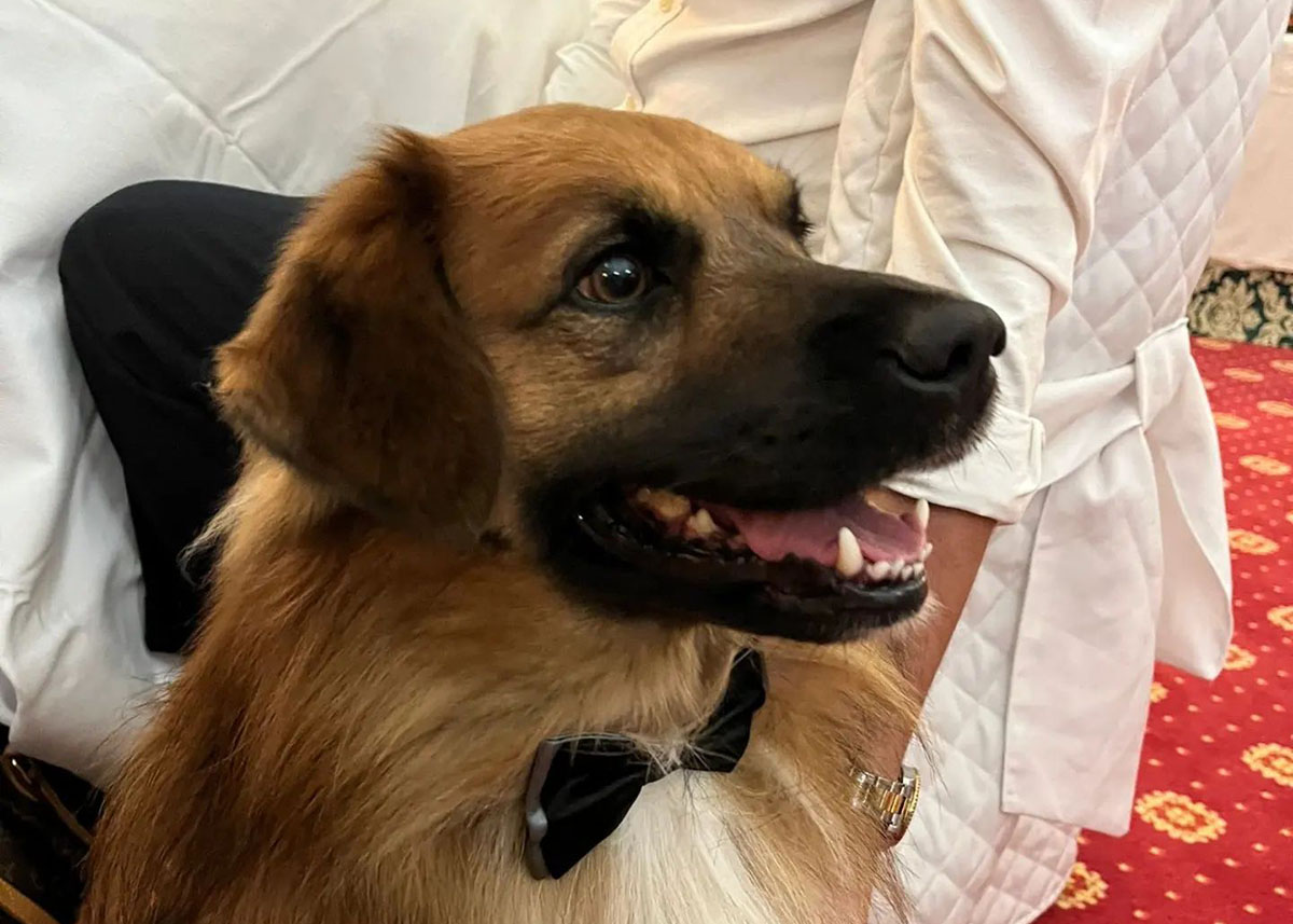 Max