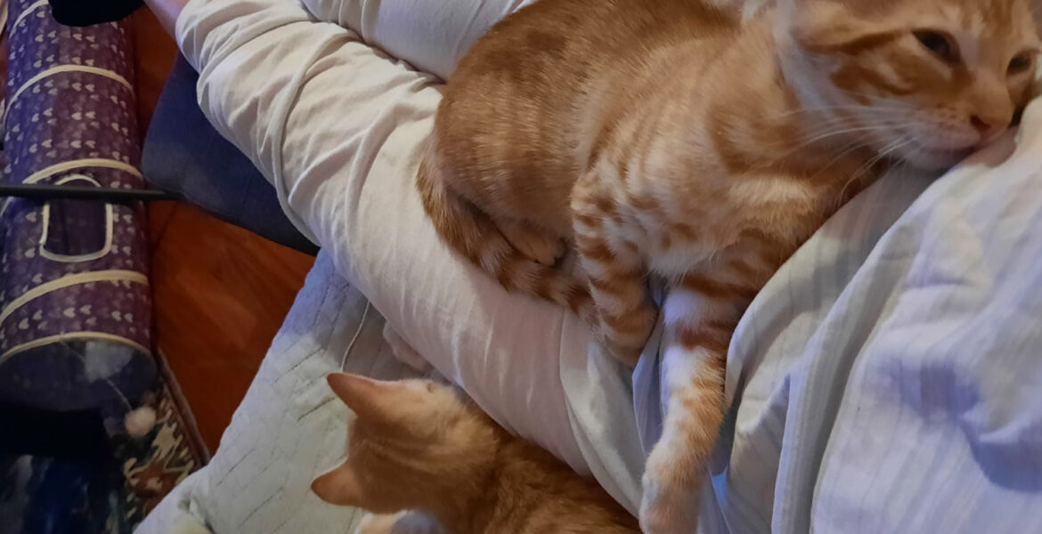 Margot e Maya
