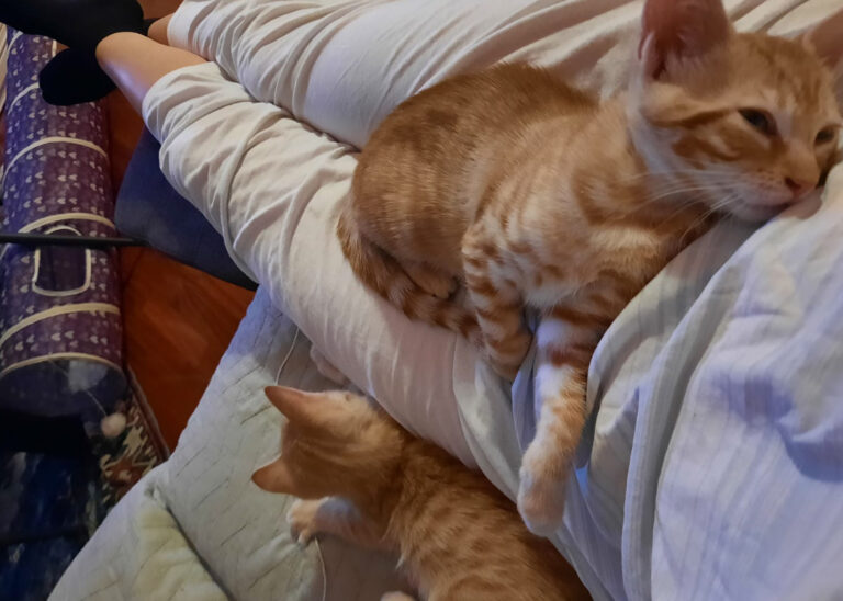 Margot e Maya