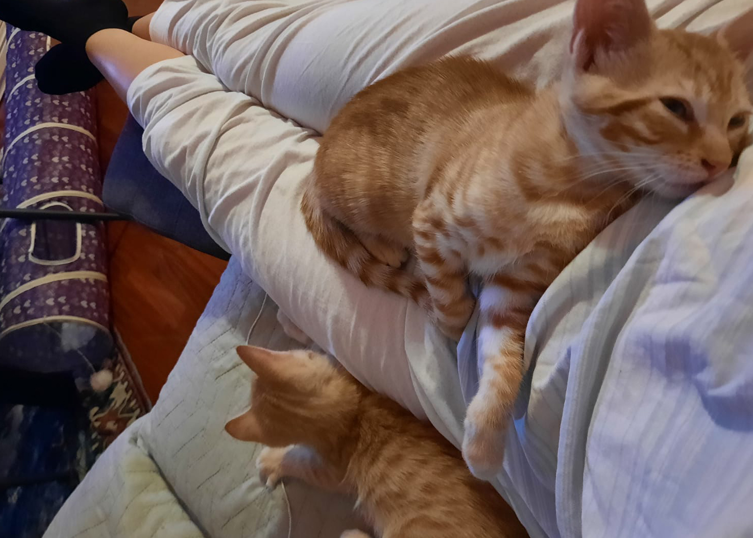 Margot e Maya