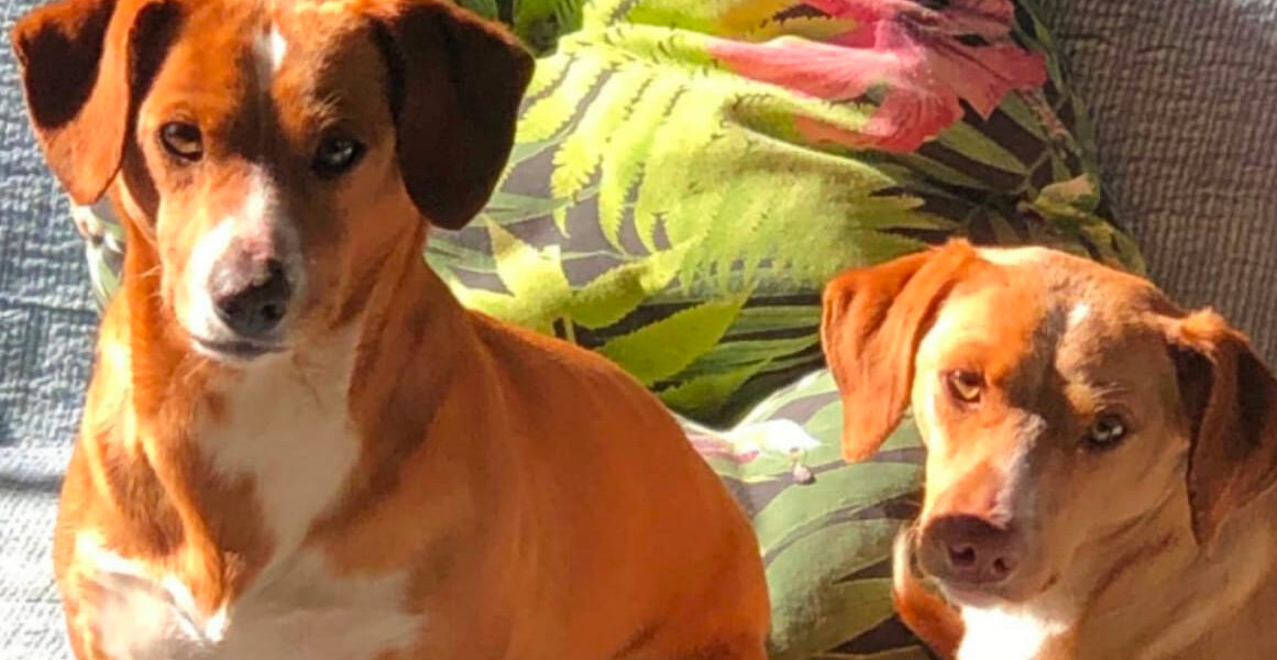 Ada e Etta