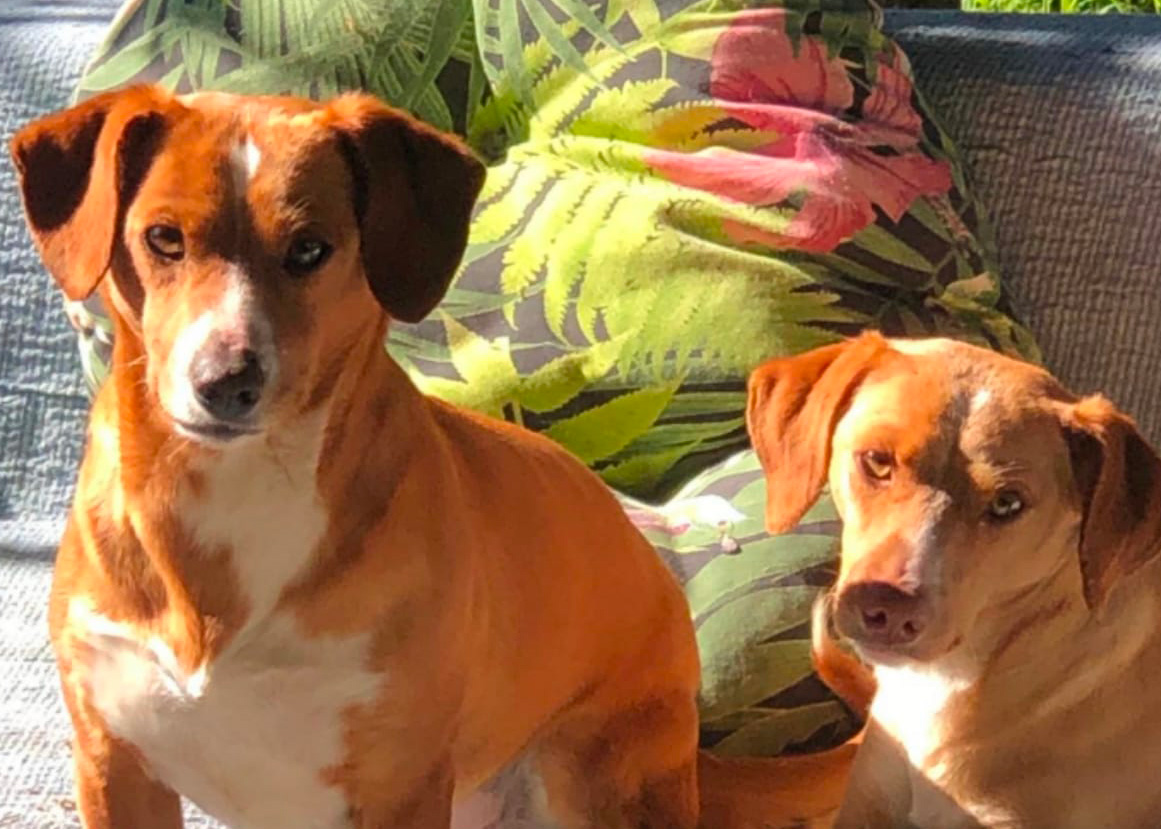 Ada e Etta