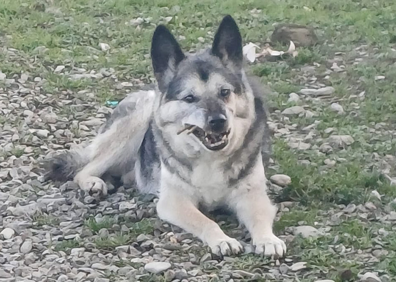 Emilio
