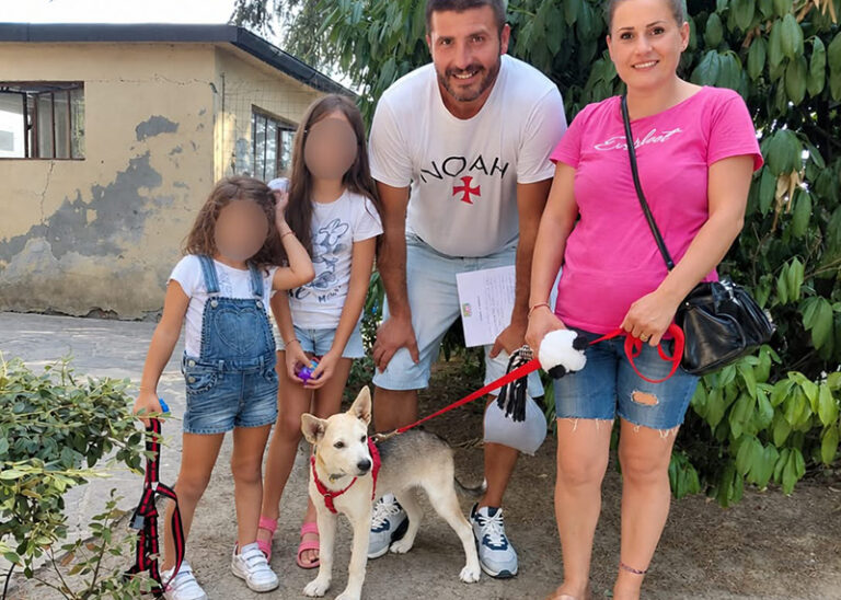 Nebbia