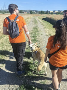 Passeggiata13